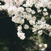 ヒメ日記 2025/04/06 11:34 投稿 川上あいり 五十路マダム 愛されたい熟女たち 高松店