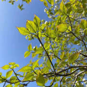 ヒメ日記 2025/04/22 19:34 投稿 川上あいり 五十路マダム 愛されたい熟女たち 高松店