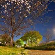 ヒメ日記 2025/04/28 22:38 投稿 川上あいり 五十路マダム 愛されたい熟女たち 高松店