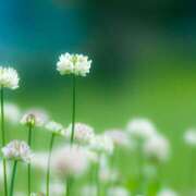 ヒメ日記 2025/04/29 11:32 投稿 川上あいり 五十路マダム 愛されたい熟女たち 高松店