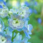 ヒメ日記 2025/05/09 20:58 投稿 川上あいり 五十路マダム 愛されたい熟女たち 高松店