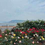 ヒメ日記 2025/05/17 11:38 投稿 川上あいり 五十路マダム 愛されたい熟女たち 高松店