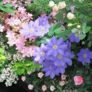 ヒメ日記 2025/05/23 21:20 投稿 川上あいり 五十路マダム 愛されたい熟女たち 高松店