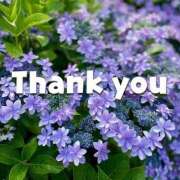 ヒメ日記 2025/06/21 21:46 投稿 川上あいり 五十路マダム 愛されたい熟女たち 高松店