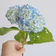 ヒメ日記 2025/06/25 20:38 投稿 川上あいり 五十路マダム 愛されたい熟女たち 高松店