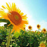 ヒメ日記 2025/06/29 10:42 投稿 川上あいり 五十路マダム 愛されたい熟女たち 高松店