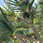 ヒメ日記 2025/07/22 17:34 投稿 川上あいり 五十路マダム 愛されたい熟女たち 高松店