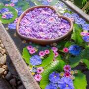 ヒメ日記 2025/07/24 21:12 投稿 川上あいり 五十路マダム 愛されたい熟女たち 高松店