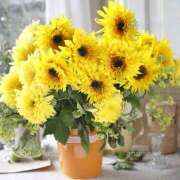 ヒメ日記 2025/07/26 21:50 投稿 川上あいり 五十路マダム 愛されたい熟女たち 高松店