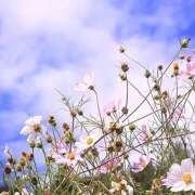 ヒメ日記 2025/08/29 17:30 投稿 川上あいり 五十路マダム 愛されたい熟女たち 高松店