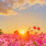 ヒメ日記 2025/09/28 22:22 投稿 川上あいり 五十路マダム 愛されたい熟女たち 高松店