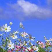 ヒメ日記 2025/10/02 06:48 投稿 川上あいり 五十路マダム 愛されたい熟女たち 高松店