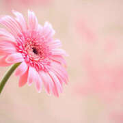 ヒメ日記 2025/10/19 09:38 投稿 川上あいり 五十路マダム 愛されたい熟女たち 高松店