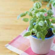 ヒメ日記 2025/11/01 15:30 投稿 川上あいり 五十路マダム 愛されたい熟女たち 高松店