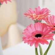 ヒメ日記 2025/11/14 12:54 投稿 川上あいり 五十路マダム 愛されたい熟女たち 高松店