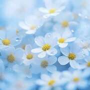 ヒメ日記 2025/11/30 11:06 投稿 川上あいり 五十路マダム 愛されたい熟女たち 高松店