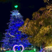 ヒメ日記 2025/12/07 11:10 投稿 川上あいり 五十路マダム 愛されたい熟女たち 高松店