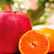 ヒメ日記 2025/12/14 20:02 投稿 川上あいり 五十路マダム 愛されたい熟女たち 高松店