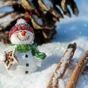 ヒメ日記 2026/01/11 21:30 投稿 川上あいり 五十路マダム 愛されたい熟女たち 高松店