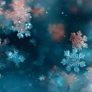 ヒメ日記 2026/01/25 12:56 投稿 川上あいり 五十路マダム 愛されたい熟女たち 高松店