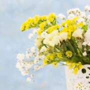 ヒメ日記 2026/02/01 11:48 投稿 川上あいり 五十路マダム 愛されたい熟女たち 高松店