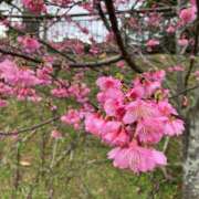 ヒメ日記 2026/02/11 11:14 投稿 川上あいり 五十路マダム 愛されたい熟女たち 高松店