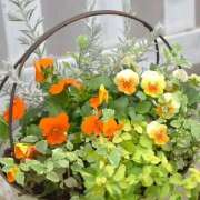 ヒメ日記 2026/02/15 11:42 投稿 川上あいり 五十路マダム 愛されたい熟女たち 高松店