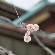 ヒメ日記 2026/02/23 17:00 投稿 川上あいり 五十路マダム 愛されたい熟女たち 高松店