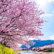 ヒメ日記 2026/03/07 20:24 投稿 川上あいり 五十路マダム 愛されたい熟女たち 高松店