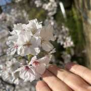 ヒメ日記 2026/04/04 17:58 投稿 川上あいり 五十路マダム 愛されたい熟女たち 高松店