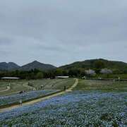 ヒメ日記 2026/04/18 18:42 投稿 川上あいり 五十路マダム 愛されたい熟女たち 高松店