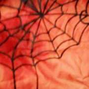 ヒメ日記 2025/10/31 18:37 投稿 倉本 ダイヤモンドクラブ