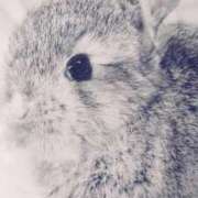 ヒメ日記 2025/11/18 07:37 投稿 倉本 ダイヤモンドクラブ