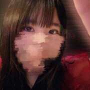 ヒメ日記 2024/12/15 12:19 投稿 星月にいな サクラ（すすきの）