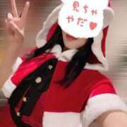 ヒメ日記 2024/12/25 01:12 投稿 星月にいな サクラ（すすきの）