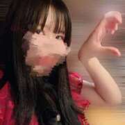 ヒメ日記 2024/12/28 17:19 投稿 星月にいな サクラ（すすきの）