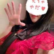 ヒメ日記 2024/12/29 01:42 投稿 星月にいな サクラ（すすきの）