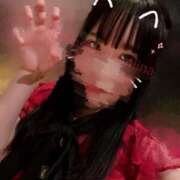 ヒメ日記 2025/02/22 19:22 投稿 星月にいな サクラ（すすきの）