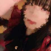 ヒメ日記 2025/04/08 12:34 投稿 星月にいな サクラ（すすきの）