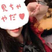 ヒメ日記 2025/04/29 02:12 投稿 星月にいな サクラ（すすきの）