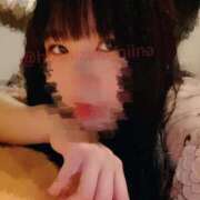 ヒメ日記 2025/05/19 12:18 投稿 星月にいな サクラ（すすきの）