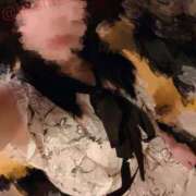 ヒメ日記 2025/06/03 12:03 投稿 星月にいな サクラ（すすきの）