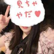 ヒメ日記 2025/06/26 01:33 投稿 星月にいな サクラ（すすきの）