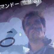 ヒメ日記 2025/10/09 12:18 投稿 星月にいな サクラ（すすきの）