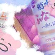 ヒメ日記 2025/10/25 12:19 投稿 星月にいな サクラ（すすきの）