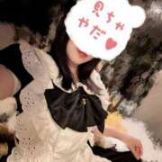 ヒメ日記 2025/10/30 01:18 投稿 星月にいな サクラ（すすきの）