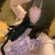 ヒメ日記 2025/11/07 12:20 投稿 星月にいな サクラ（すすきの）