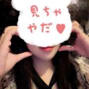 ヒメ日記 2025/11/24 01:03 投稿 星月にいな サクラ（すすきの）