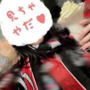 ヒメ日記 2025/11/24 12:12 投稿 星月にいな サクラ（すすきの）