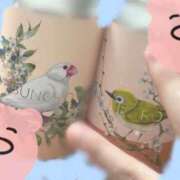 ヒメ日記 2025/11/29 12:03 投稿 星月にいな サクラ（すすきの）